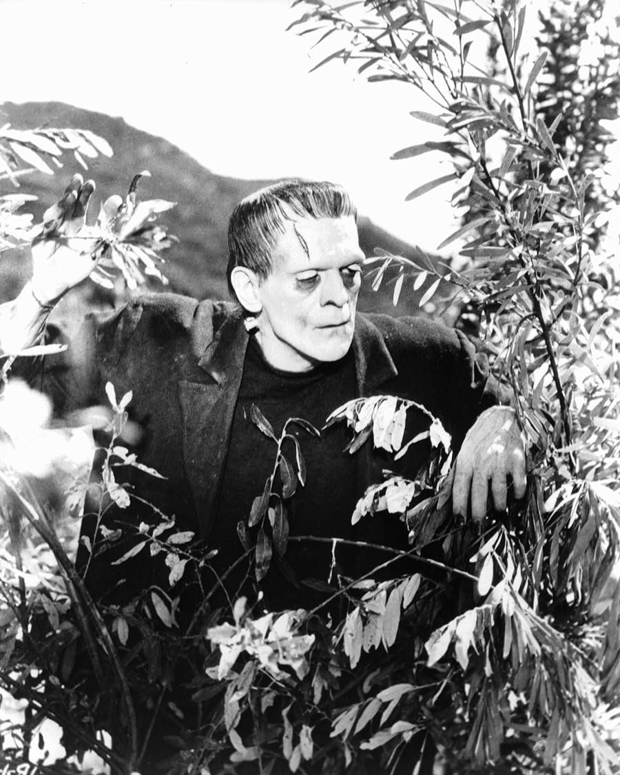 Frankenstein 1931 Boris Karloff criatura clássico Universal